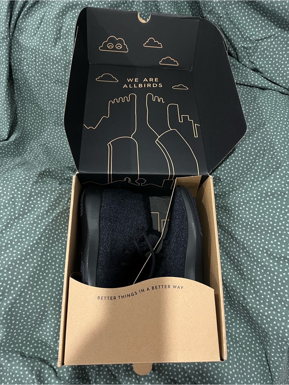 NIB Allbirds Men's Wool Runner-Up Mizzles - Black